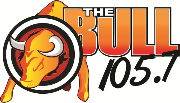 The Bull Logo