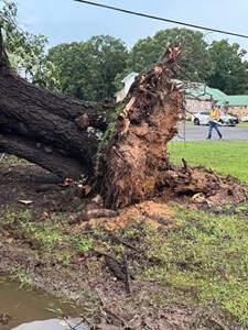 Storm damage in Independence County from Kim Shaver Nephew
