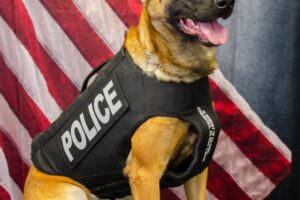 Cabot Police Department Announces Retirement of K9 Kastor