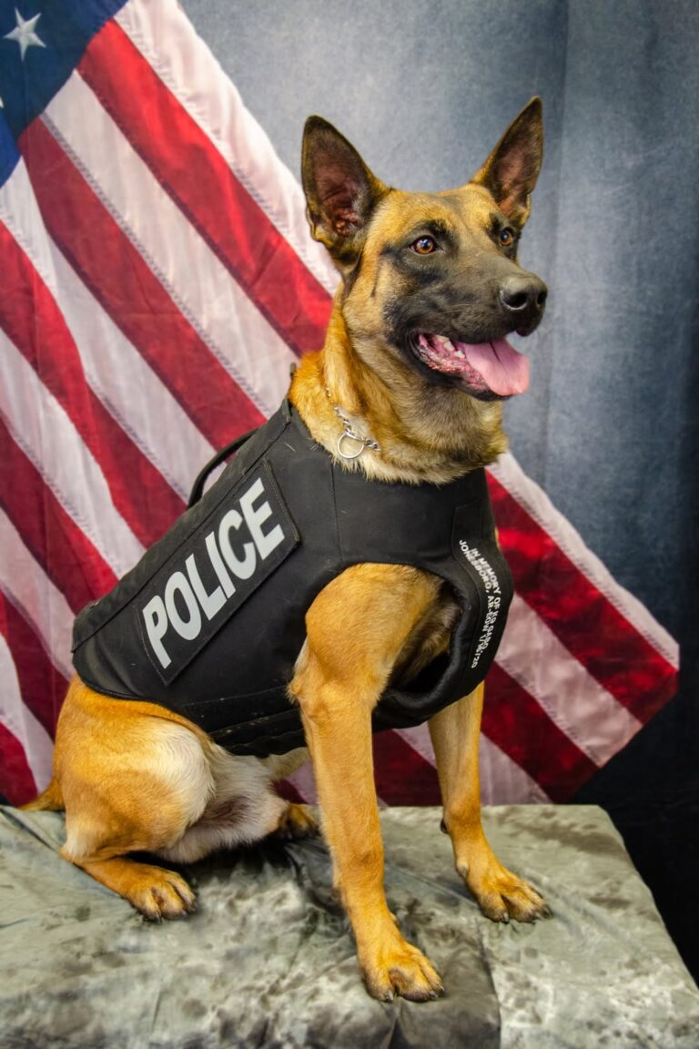 Cabot Police Department Announces Retirement of K9 Kastor