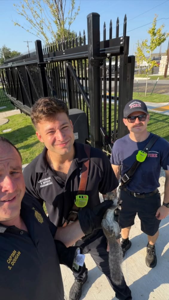 North Little Rock Rescue Team Secures "Rescue" Squirrel, Returns It Safely