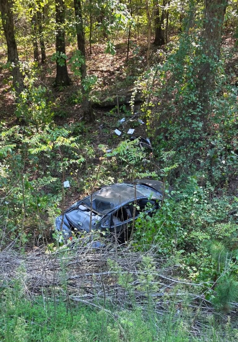 Petit Jean Firefighters Conduct "Rescue" of Hiker on Arkansas Trail