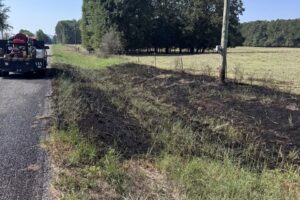 Resident Alerts Firefighters, Who Quell 'Grass Fire' Near Utility Pole in Arkansas