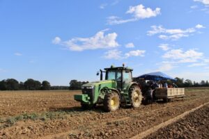 Inspectors Called In To Oversee Potato Fields In Arkansas