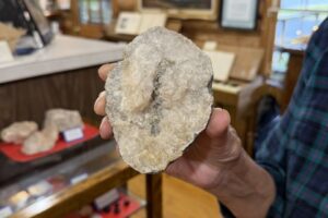 Rare Hidden Rock Found In Fairfield Bay By Museum Manager
