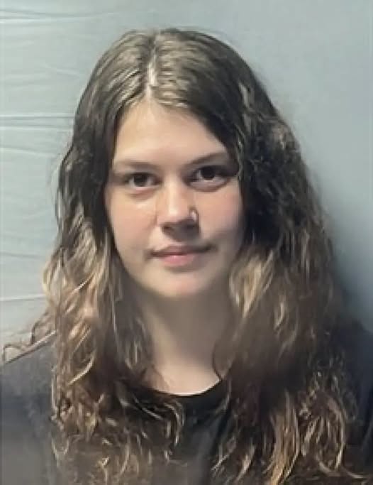 Batesville Teen Girl Arrested After "Hammer Attack" Reportedly Led To Injury