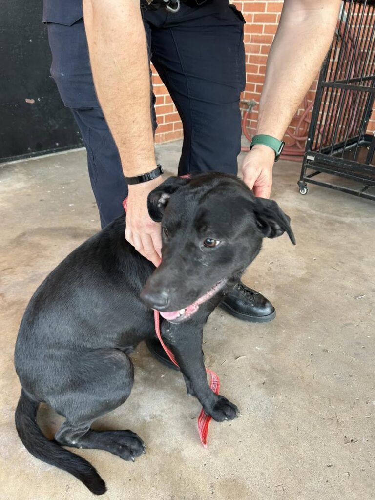 Police Share Sad Photo Asking For Help Near Stone County