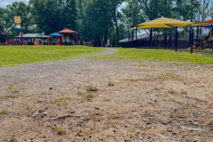 City Of Conway Announces $100,000 Project Underway