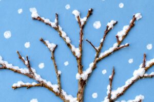 Snow-covered winter tree artwork for the Searcy Tree Board Winter Tree Art Contest in Searcy Arkansas