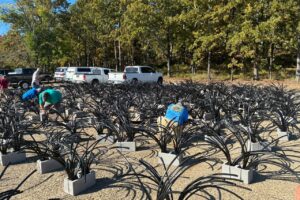 Volunteers Construct Hundreds Of "Fish Structures" In Greers Ferry Lake, Arkansas