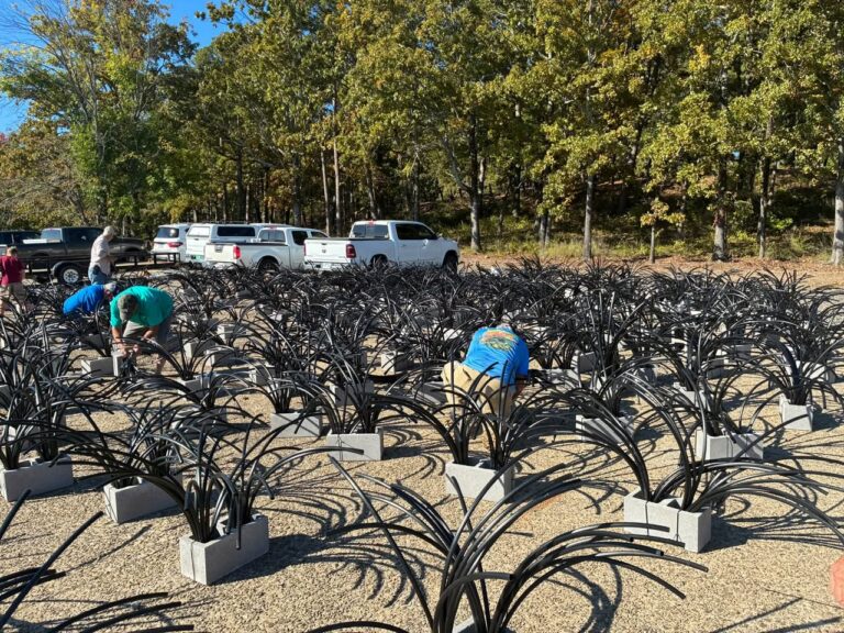 Volunteers Construct Hundreds Of "Fish Structures" In Greers Ferry Lake, Arkansas